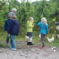 IMG_1242871