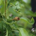 IMG_1242875