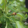 IMG_1242877