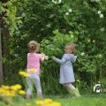 IMG_1242958
