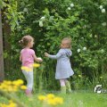 IMG_1242960