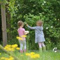 IMG_1242961