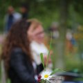 IMG_1242990