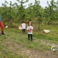 IMG_1242996