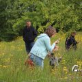IMG_1243012