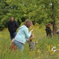 IMG_1243013
