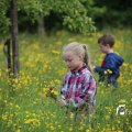 IMG_1243027