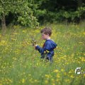 IMG_1243028