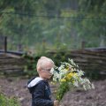 IMG_1243036