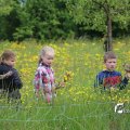 IMG_1243037