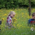 IMG_1243038