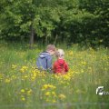 IMG_1243041