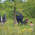 IMG_1243042