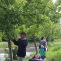 IMG_1243062