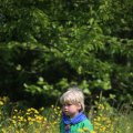 IMG_1243099