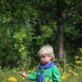 IMG_1243100