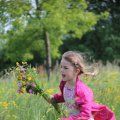 IMG_1243110