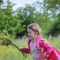 IMG_1243111