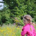 IMG_1243112