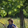 IMG_1243116