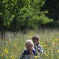 IMG_1243117