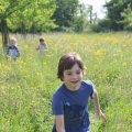 IMG_1243118
