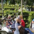IMG_1243126