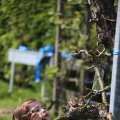 IMG_1243141