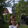 IMG_1243153