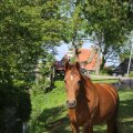 IMG_1243236