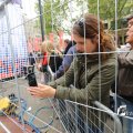 IMG_1246619