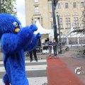 IMG_1247449