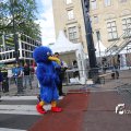 IMG_1248365