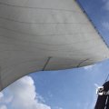 IMG_1249217