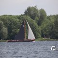 IMG_1249285