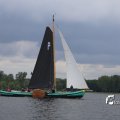 IMG_1249294