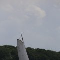 IMG_1249308