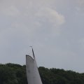 IMG_1249309