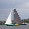 IMG_1249336