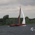 IMG_1249385