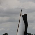 IMG_1249446