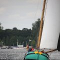 IMG_1249449