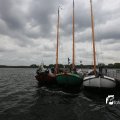 IMG_1249546