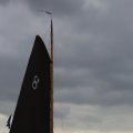 IMG_1249696