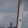 IMG_1249729