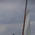 IMG_1249730
