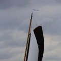 IMG_1249756