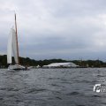 IMG_1249769