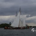 IMG_1249851