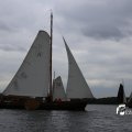 IMG_1249916